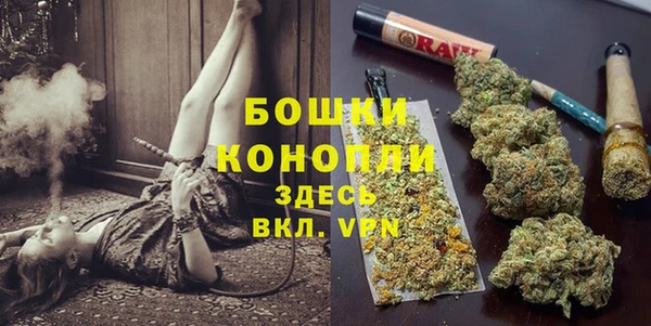 mdpv Няндома